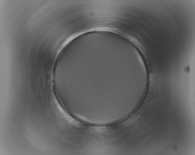 X0000111911428200908171251