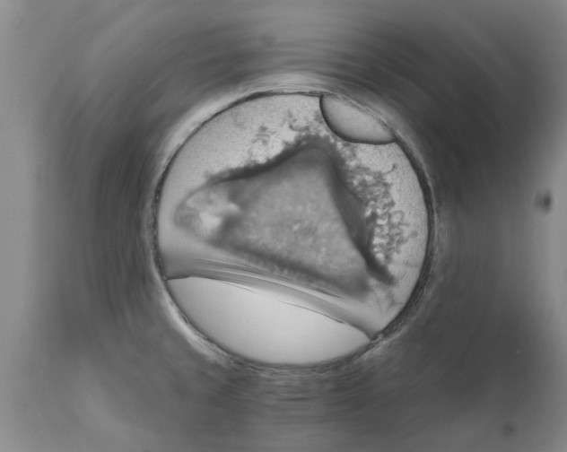 X0000111911429200908171251