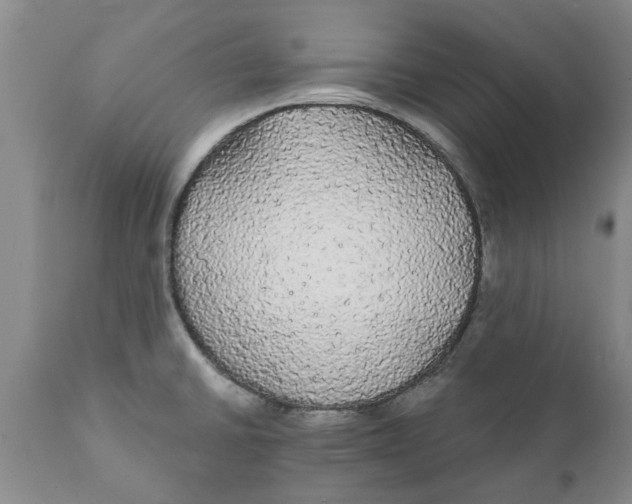 X0000111911430200908171251