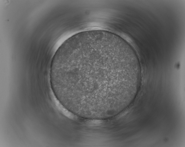 X0000111911431200908171251