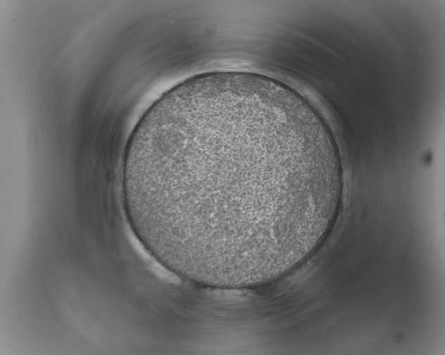 X0000111911432200908171251