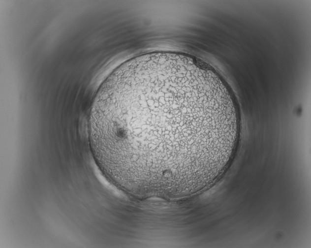 X0000111911433200908171251