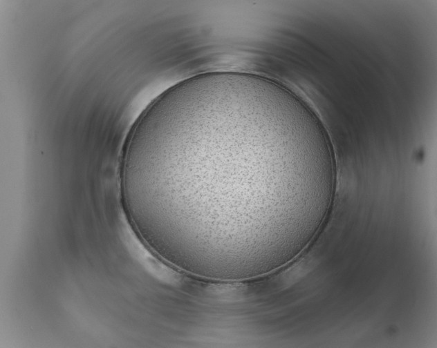 X0000111911434200908171251