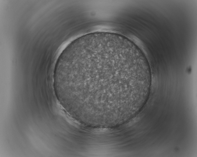 X0000111911435200908171251