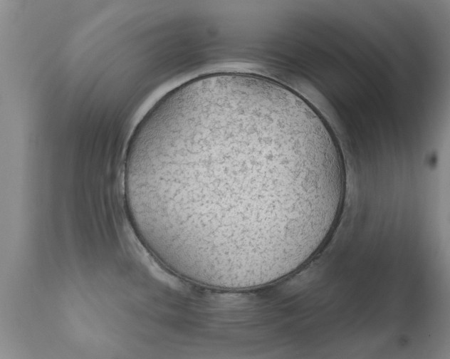 X0000111911436200908171251