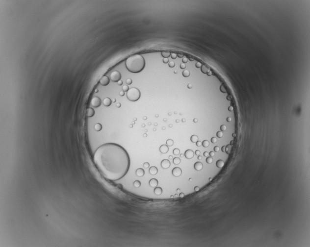 X0000111911437200908171251