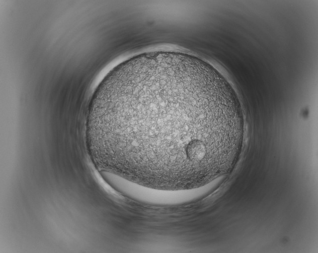 X0000111911438200908171252