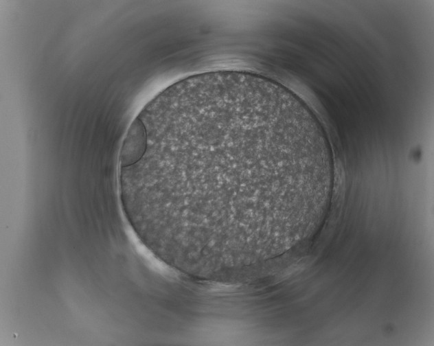 X0000111911439200908171252