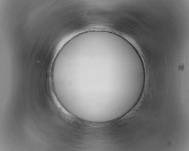 X0000111911440200908171252