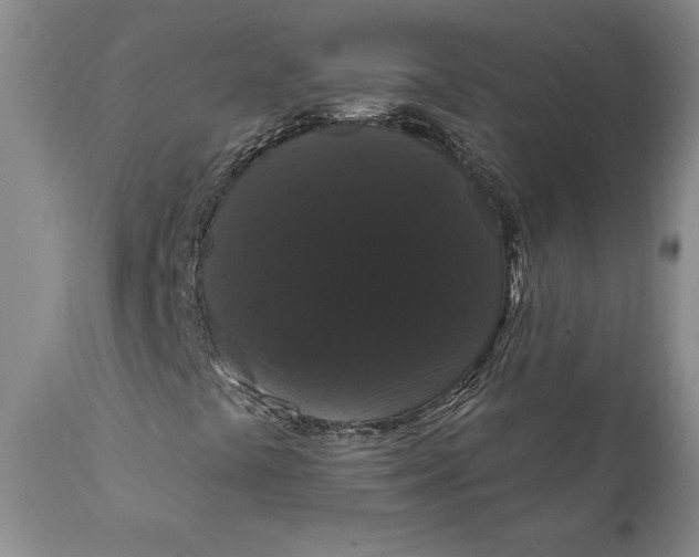 X0000111911441200908171251