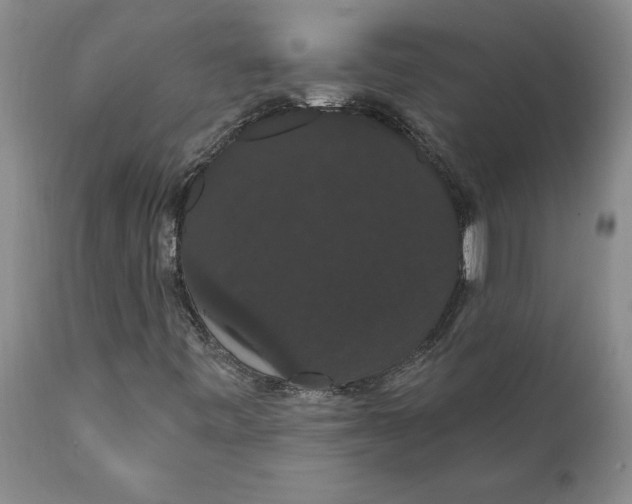 X0000111911443200908171251