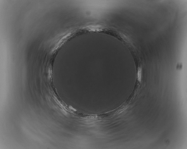 X0000111911444200908171251