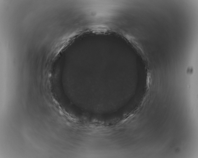 X0000111911445200908171251