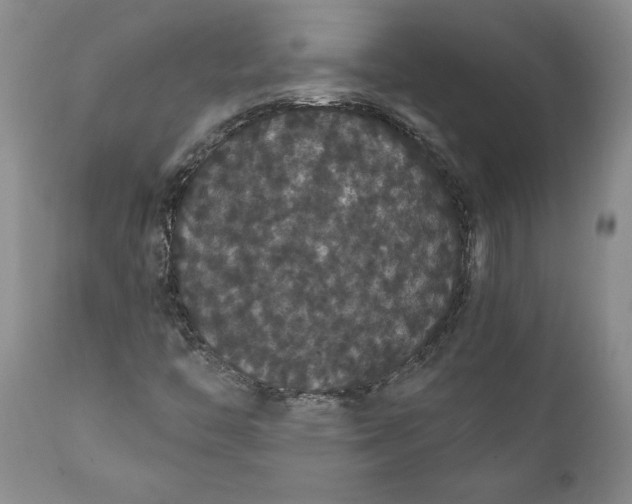 X0000111911446200908171251