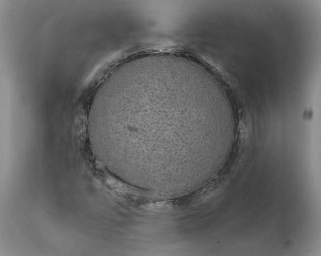 X0000111911447200908171251