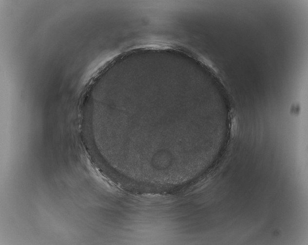 X0000111911448200908171251