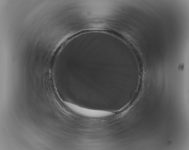 X0000111911449200908171251