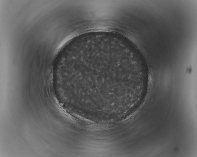 X0000111911450200908171251