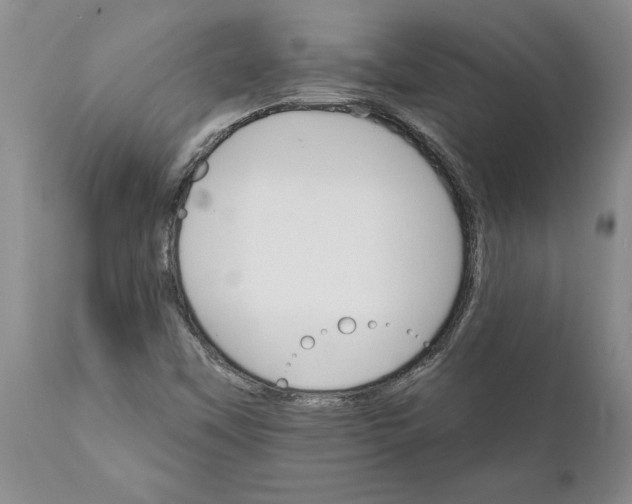 X0000111911451200908171251