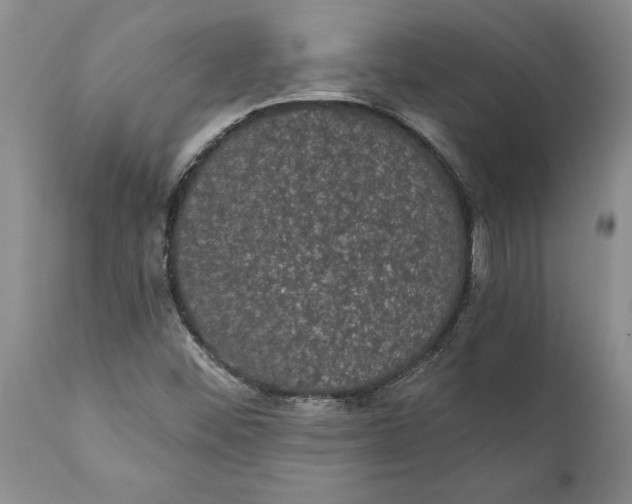 X0000111911452200908171251