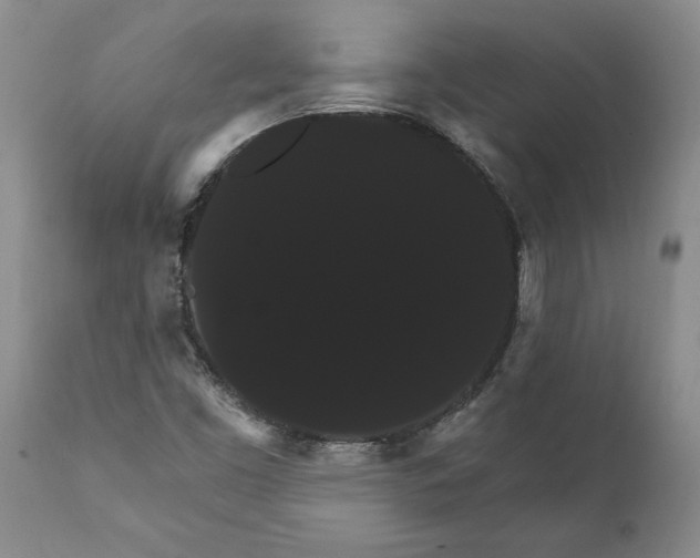 X0000111911453200908171251