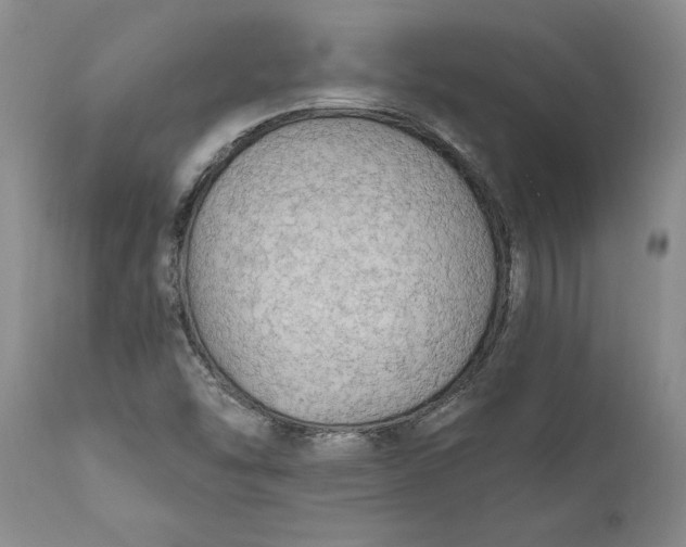 X0000111911454200908171251