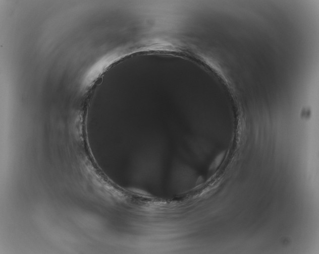 X0000111911455200908171250