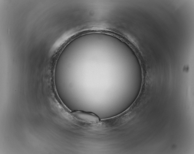 X0000111911456200908171250