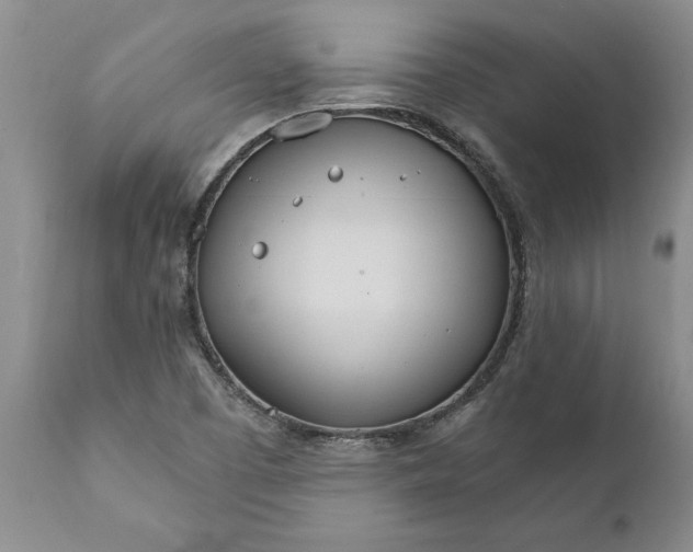 X0000111911457200908171250