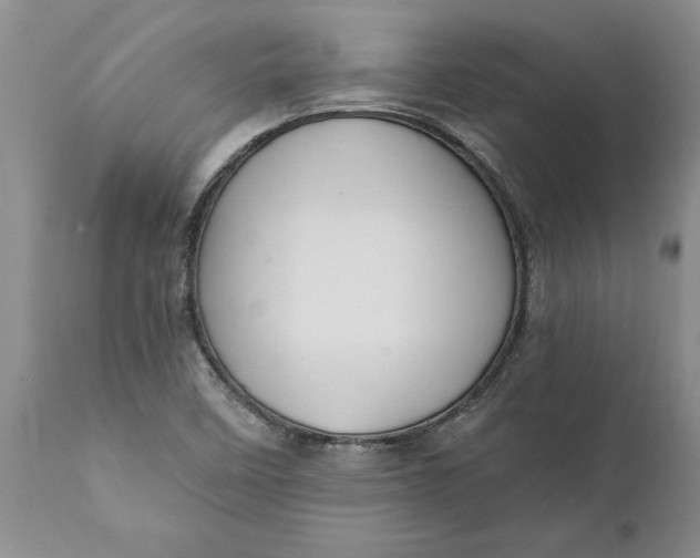 X0000111911458200908171250