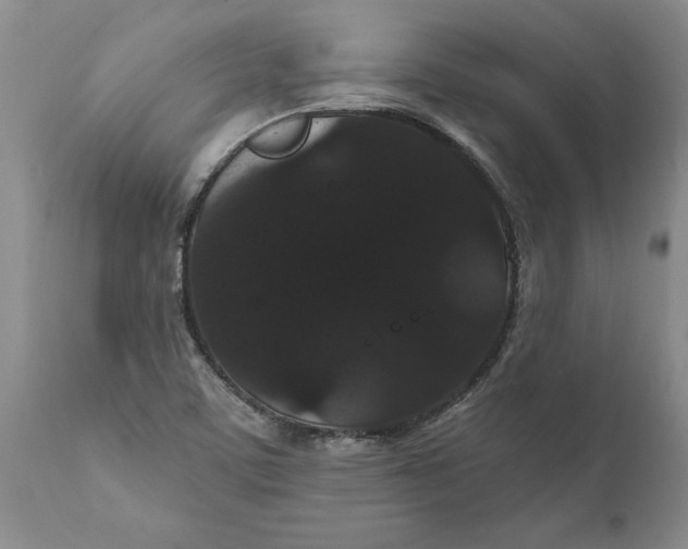 X0000111911459200908171250