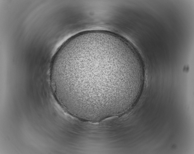 X0000111911460200908171250