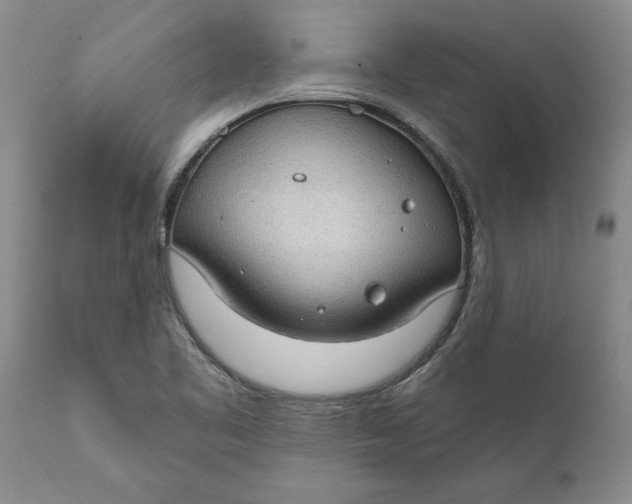 X0000111911461200908171250