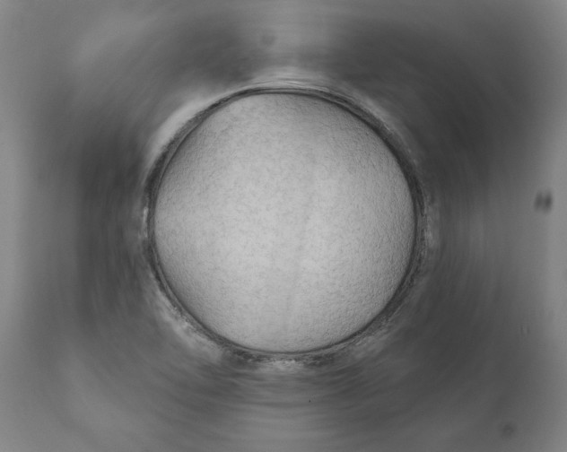 X0000111911462200908171250