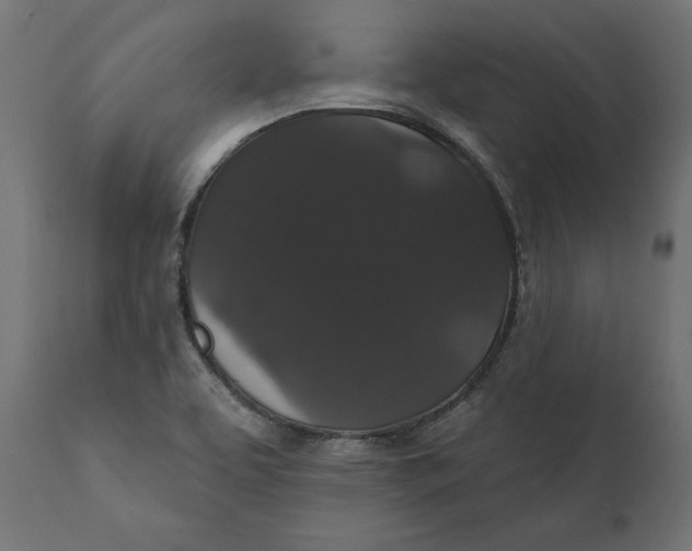 X0000111911463200908171250