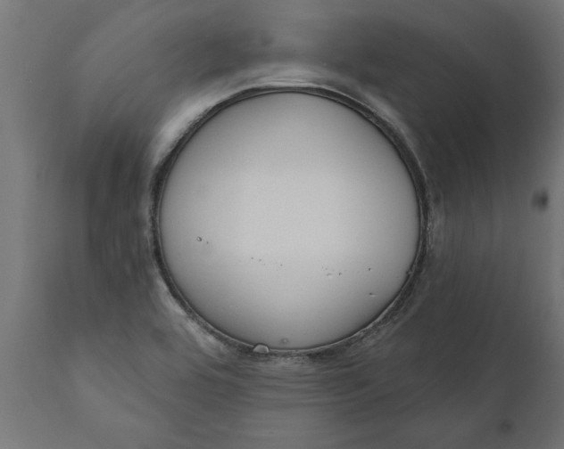 X0000111911464200908171250