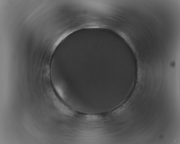 X0000111911465200908171250