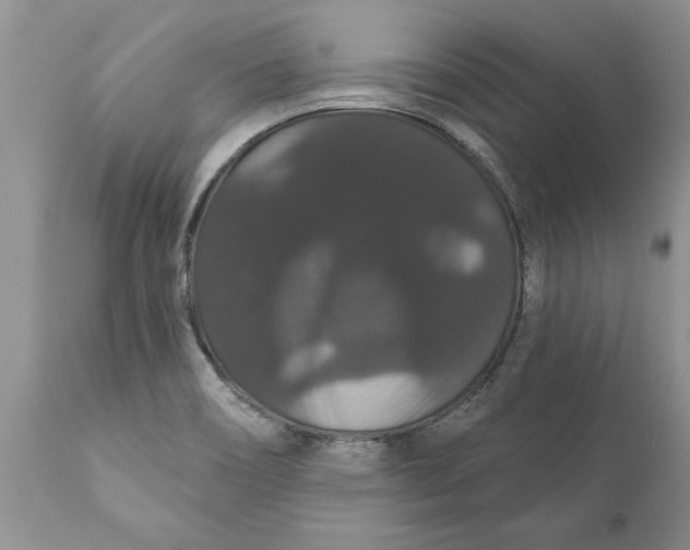 X0000111911466200908171250