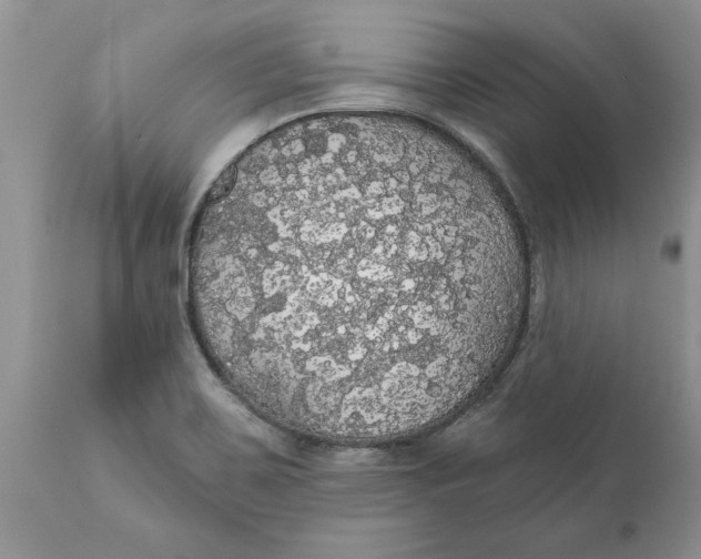 X0000111911467200908171250