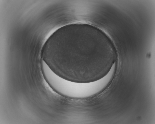 X0000111911468200908171250