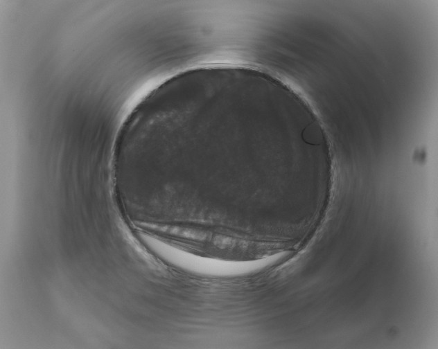 X0000111911469200908171250