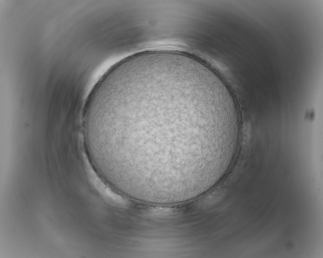 X0000111911470200908171250