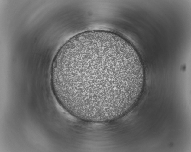 X0000111911471200908171250