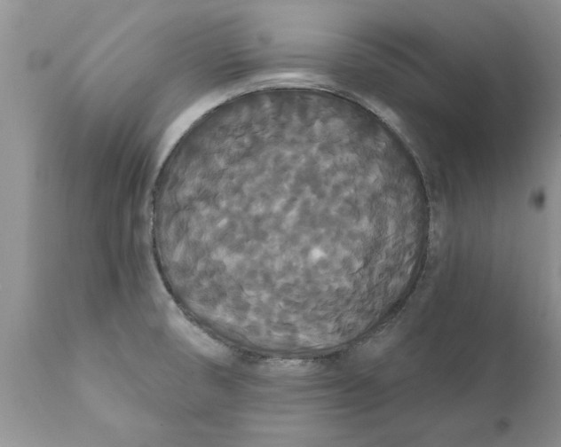 X0000111911474200908171250