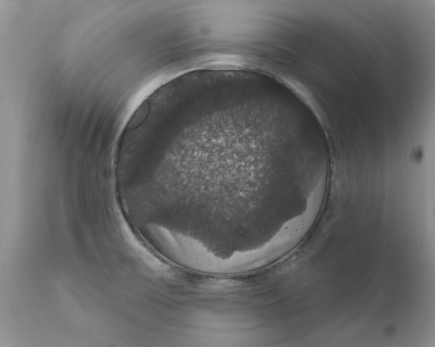 X0000111911475200908171250