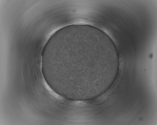 X0000111911476200908171250