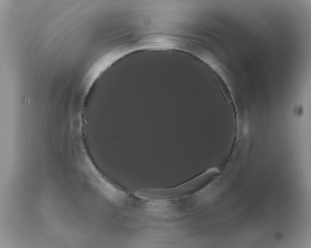 X0000111911477200908171250