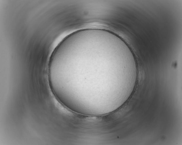 X0000111911478200908171250