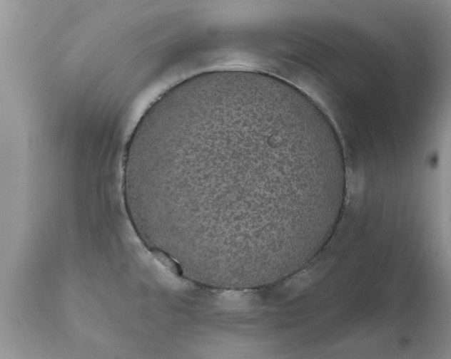 X0000111911480200908171250