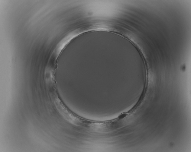 X0000111911481200908171250